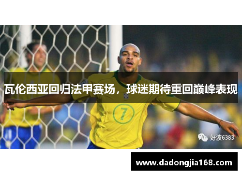 瓦伦西亚回归法甲赛场，球迷期待重回巅峰表现